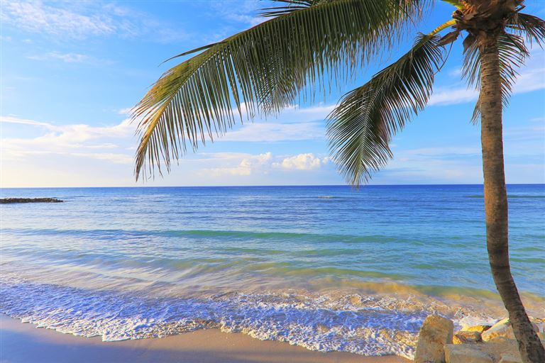 Jamaica Feeling ©agustavop/istock